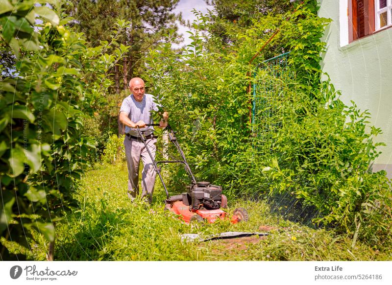Landwirt mäht den Rasen im Garten mit einem Benzinrasenmäher Hinterhof Blütezeit botanisch Pflege Schermaschine kultivieren geschnitten Kutter früh Motor Gerät