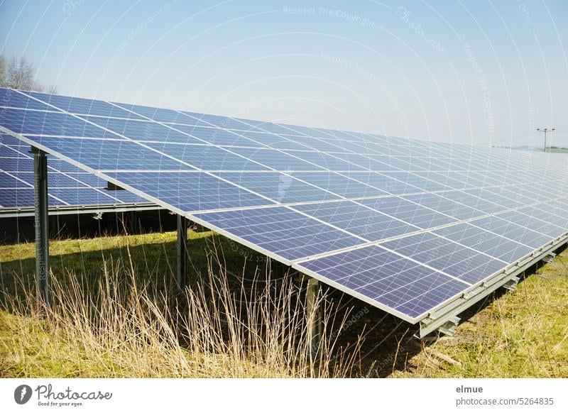 Photovoltaikanlage auf einer Wiese / Ökostrom Solarzellen Sonnenenergie Lichtenergie Fotovoltaikanlage alternative Stromerzeugung Sonnenlicht Strompreis