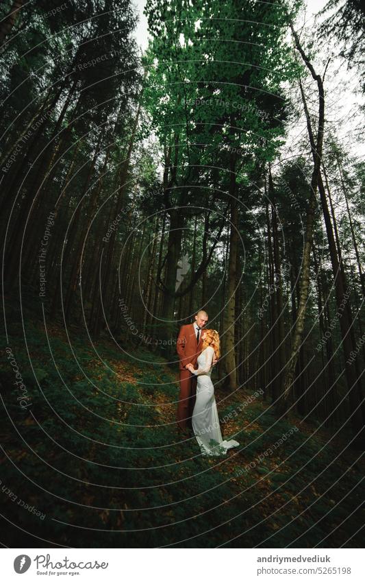Die Braut und der Bräutigam gehen Hand in Hand durch den Wald. Glückliche Braut und Bräutigam halten sich an den Händen und gehen im Wald am Hochzeitstag.