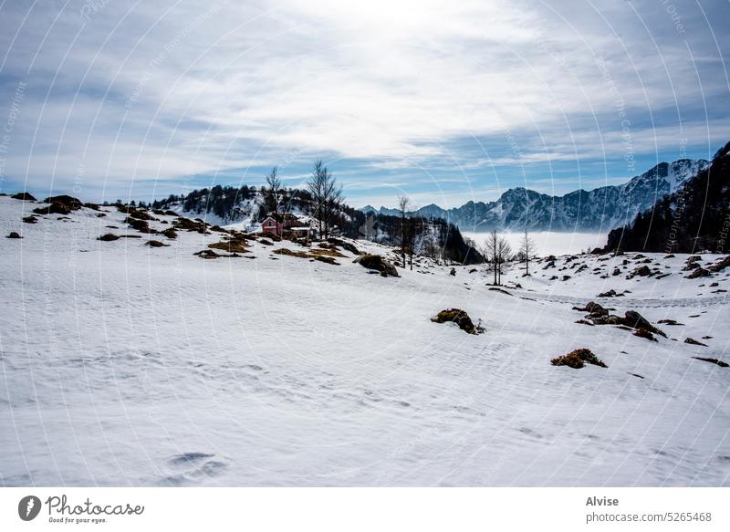 2023 02 18 Campogrosso verschneite Landschaft 3 Panorama Italien Ansicht alpin Alpen Veneto Europa Natur Tourismus im Freien Berge u. Gebirge reisen wandern