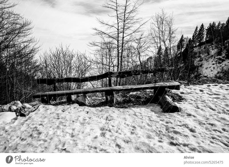2023 02 18 Campogrosso Holzbank 1 weiß Schnee Winter kalt Saison im Freien Natur Hintergrund Landschaft Park verschneite Wetter einsam Eis Frost Baum schön Bank
