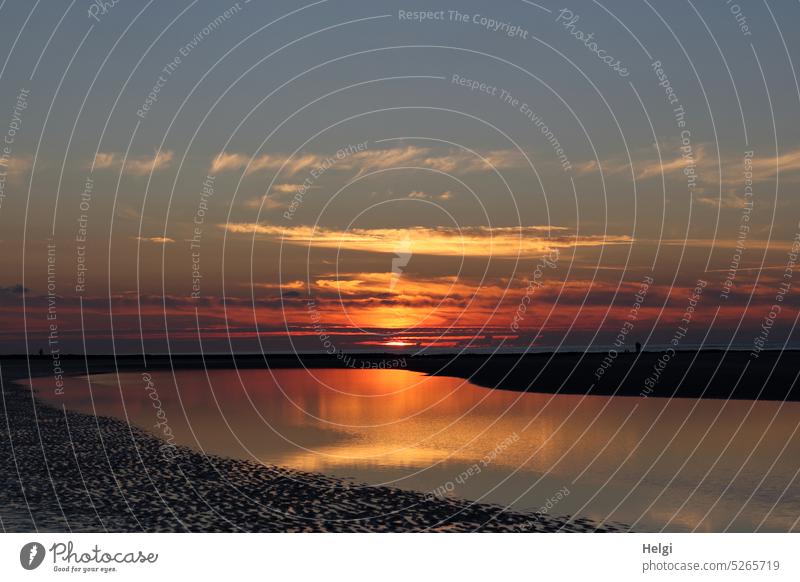 Sonnenuntergang an der Nordsee Abend Abendsonne Licht Schatten Strand Meer Nordseeinsel Wangerooge Himmel Ferien & Urlaub & Reisen Natur Sand Horizont Wasser