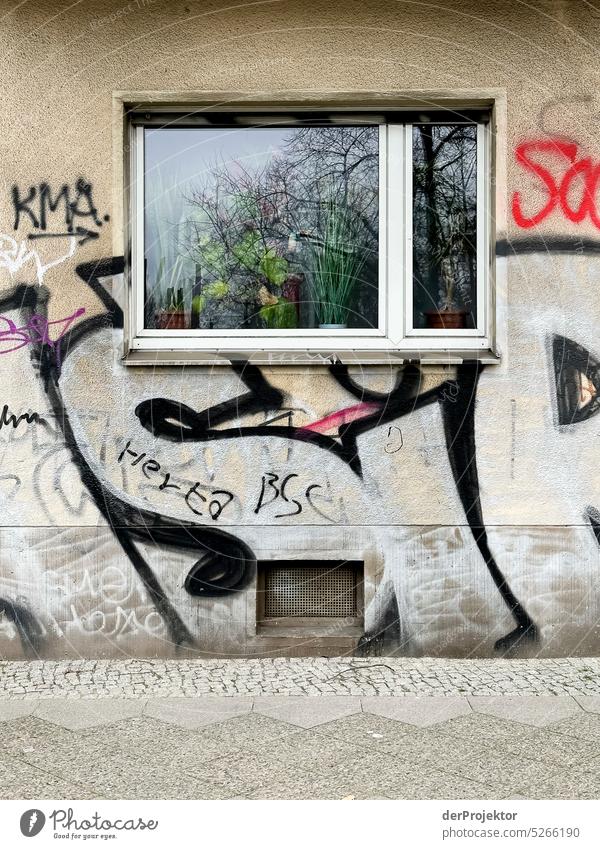 Hauswand mit Fenster und Graffiti in Kreuzberg Menschenleer Textfreiraum Mitte Strukturen & Formen Textfreiraum oben Muster abstrakt Kontrast Außenaufnahme