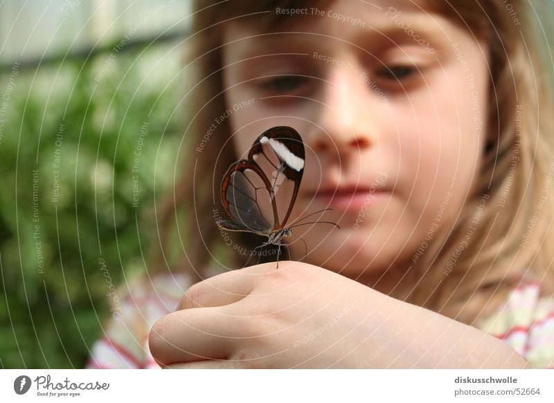 Nina und der Schmetterling Kind Insekt Natur