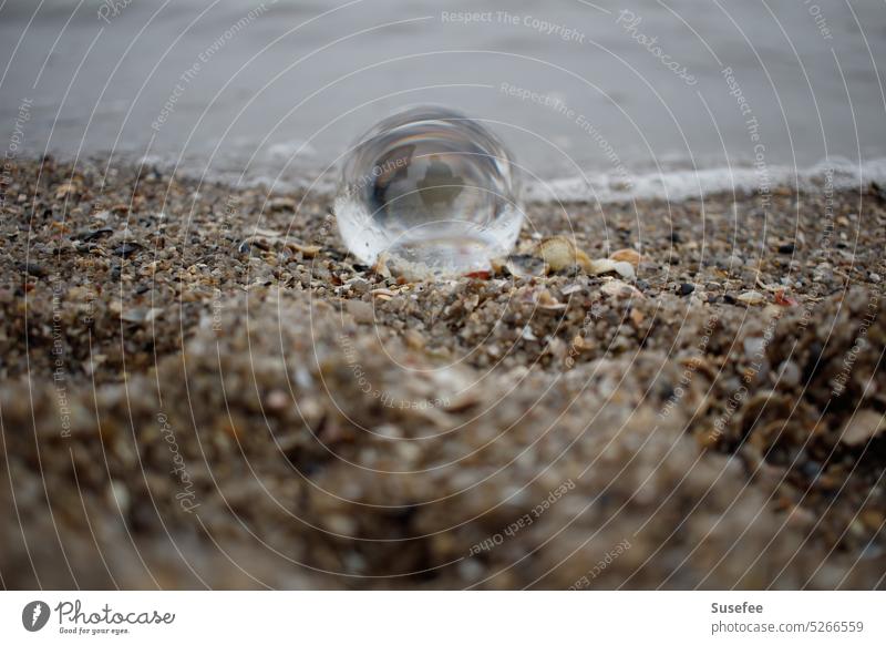 Glaskugel an der Küste Meer Natur Wasser minimalistisch Kugel Menschenleer