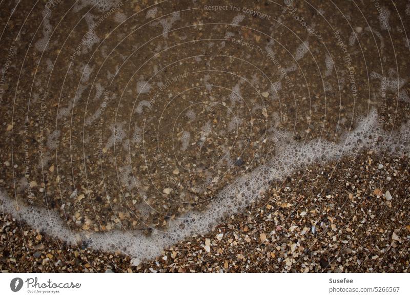 Meer spült an den Strand mit Muscheln und Sand minimalistisch Minimalismus einfach Natur Landschaft Wasser Küste Einsam Einsamkeit Freiheit Wellen Steine