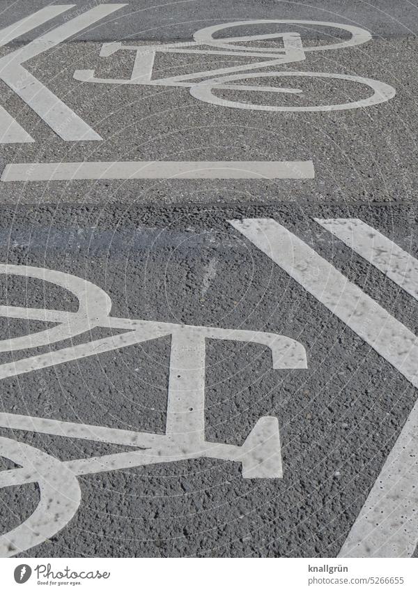 Fahrradweg Straßenverkehr Wege & Pfade Verkehrswege Fahrradfahren Verkehrsmittel Mobilität Außenaufnahme Stadt Farbfoto Bewegung Symbole & Metaphern Piktogramm