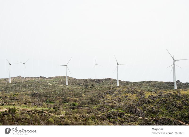 Grüne Landschaft mit aufgereihten Windrädern. Sortelha Bauernhof regenerativ Windmühle Ökologie umgebungsbedingt alternativ Technik & Technologie Natur Turbine