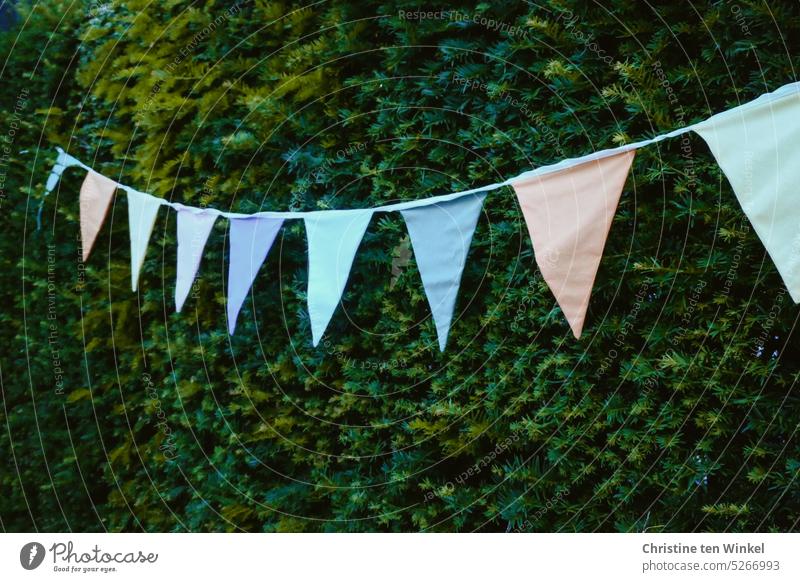 Eine bunte Wimpelkette in zarten Farben hängt vor einer Hecke romantisch Feste & Feiern Dekoration & Verzierung mehrfarbig Geburtstag Lebensfreude Fröhlichkeit