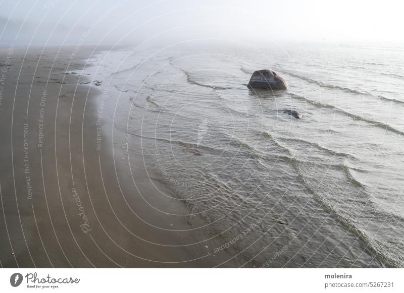 Nebel an der Ostseeküste im Frühling Wellen Stimmung Wetter MEER Küstenlinie baltisch Sand Strand Dunst bedeckt Estland Natur geringe Sichtbarkeit Wasser Felsen