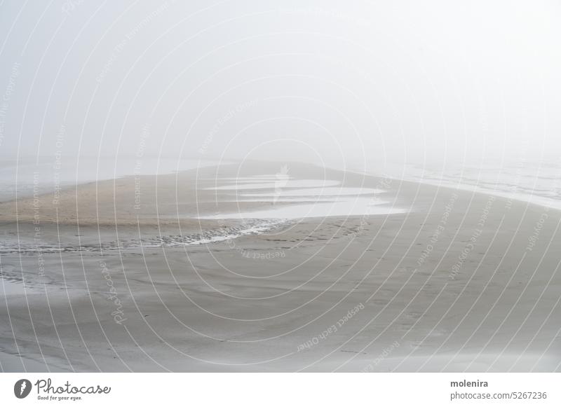 Nebel an der Ostseeküste im Frühling Stimmung Wetter MEER Küstenlinie baltisch Sand Strand Dunst bedeckt Estland Natur geringe Sichtbarkeit