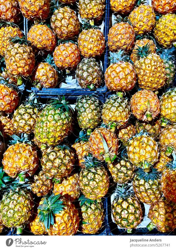 viele frische und reife geerntete Ananas auf einem Haufen ananas Frucht süß tropisch Sommer exotisch saftig lecker gelb Lebensmittel Gesundheit natürlich