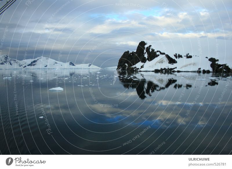 Antarktis Natur Urelemente Wasser Klima Eis Frost Schneebedeckte Gipfel Gletscher Fjord Meer ästhetisch blau Stimmung ruhig Abenteuer Sinnesorgane Farbfoto