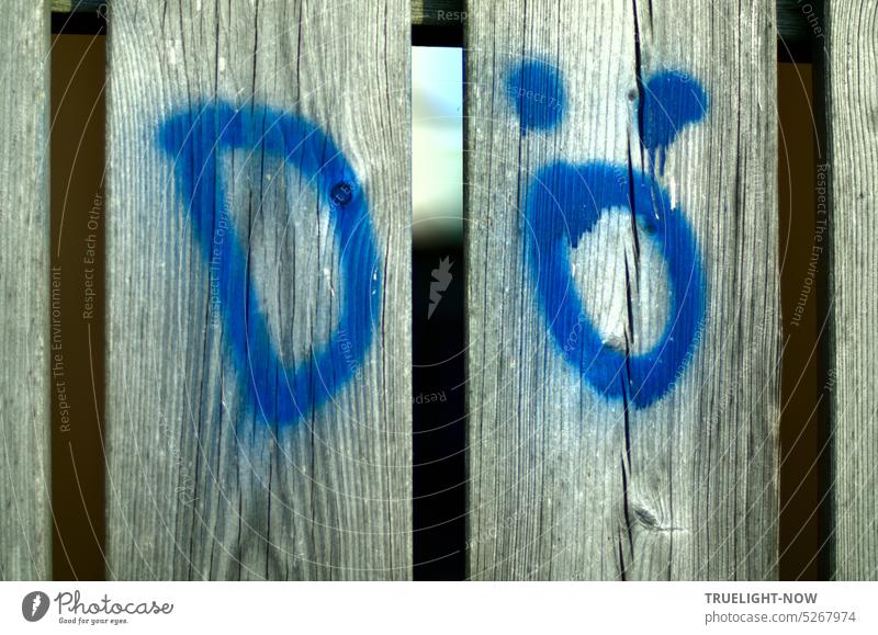 Holz Bretter Zaun grau mit Lücke zum Durchsehen und D|ö Graffiti Buchstaben blau roh zwei Tor Nahaufnahme Sonnenlicht Schrift Wort Dö Bretterzaun Spalt