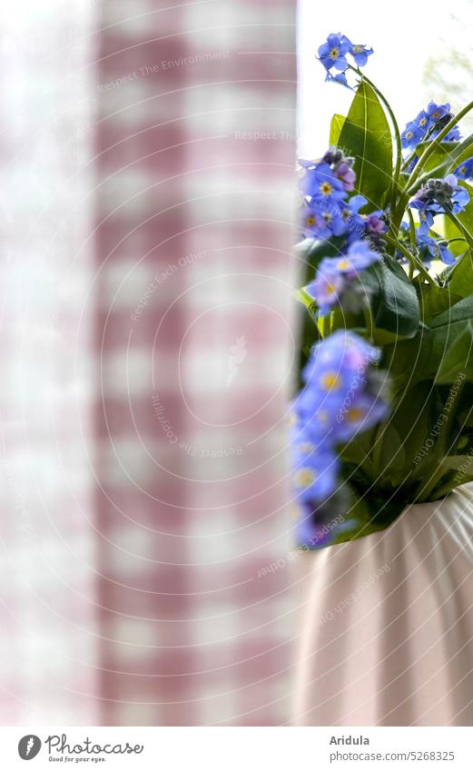 Vergissmeinnicht am Fenster Blumen Strauß Gardine Vorhang kariert rosa blau Vase versteckt Blüte Haus Zimmer Fensterbrett
