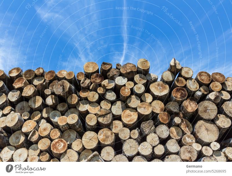 Stapel von Schnittholz Hintergrund blau braun Cloud geschnitten Ökologie Energie Brennholz Wald Brennstoff Industrie Totholz protokolliert Holz Material