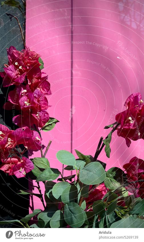 Künstliche Blumen im Schaufenster No. 3 künstlich Trockenblumen Blumenstrauß Fenster Glas alt rosa Kitsch Spiegelung Fußgängerzone traurig trostlos Heizung pink