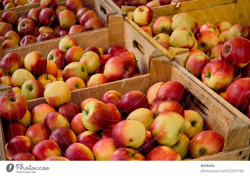 Äpfel in Kisten Apfel Verkauf verkaufen Einkaufen Frucht Lebensmittel frisch Gesundheit Ernährung lecker rot Ernte Apfelernte Markt Marktstand Supermarkt