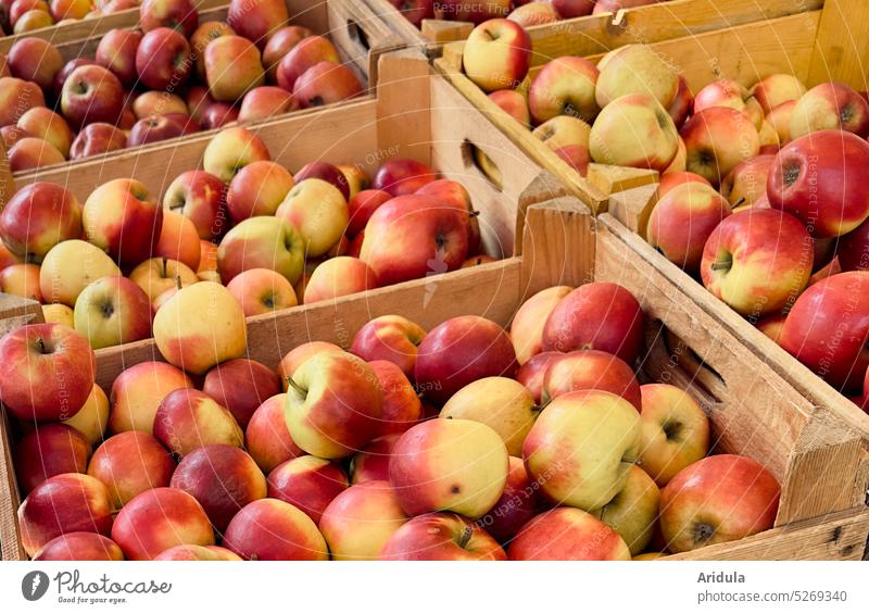 Äpfel in Holzkisten Kisten Verkauf Einkaufen Gesunde Ernährung Obst Apfel Lebensmittel Frucht Apfelernte Bioprodukte Gesundheit frisch lecker Herbst saftig rot