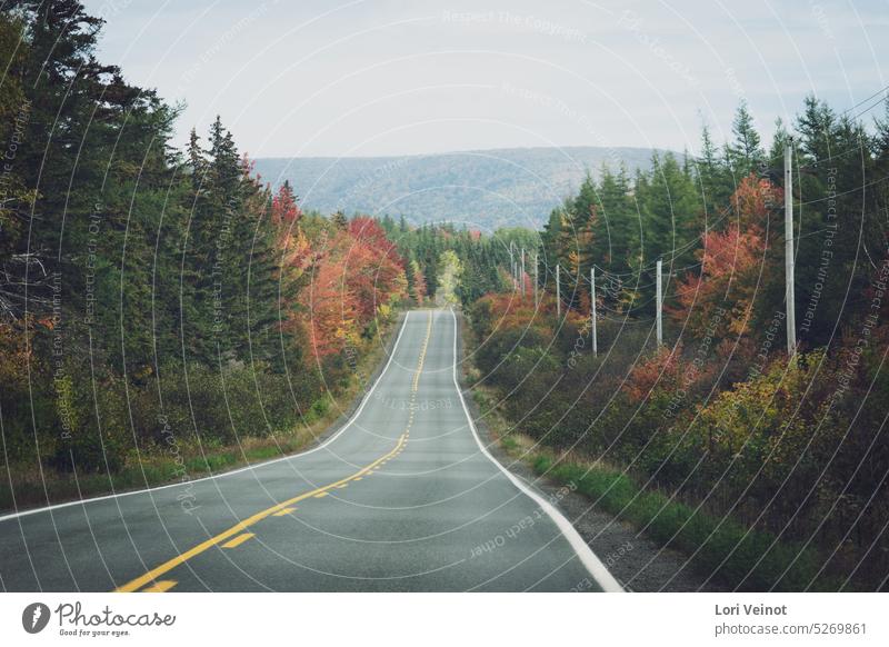Road Trip im Herbst Straße Autoreise Ausflug Reise Natur Urlaub Autobahn Abenteuer Landschaft reisen malerisch Freiheit fallen Nova Scotia Cape Breton Island