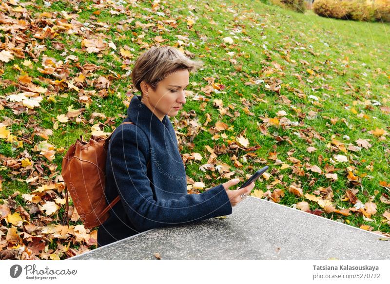 Eine Frau schaut auf den Bildschirm ihres Telefons, während sie an einem Tisch in einem herbstlichen Park sitzt. fallen Herbst Erwachsener Mobile blond Handy