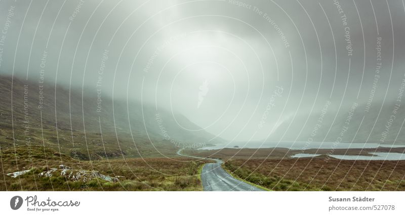 Connemara ohne Pony Nebel Berge u. Gebirge Bucht Fjord entdecken Erholung mystisch Nordirland Elfe Einsamkeit Herbstlaub Straße Menschenleer Farbfoto