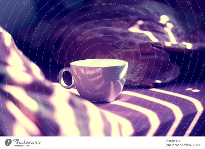 Guten Morgen Kaffeetrinken Stimmung aufstehen genießen Erholung Farbfoto Tag Licht Schatten Sonnenlicht