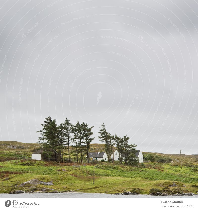Irland Natur Landschaft Wiese Feld Küste Seeufer Dorf Haus Hütte Erholung stagnierend Zusammenhalt Einsamkeit Republik Irland Kanada Hügel Farbfoto