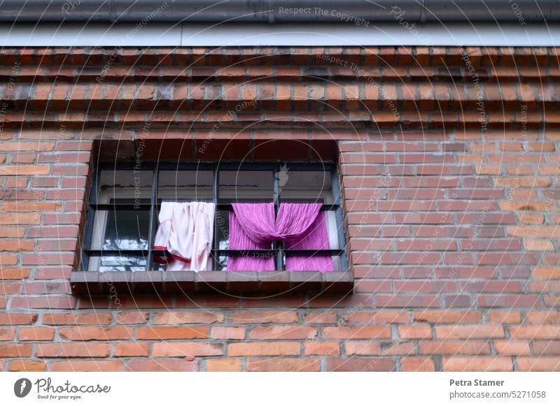 Kleidung an einem Festergitter Kleidungsstücke Fenstergitter Mauer Mauerwerk Außenaufnahme Pink Wand Fassade Menschenleer Bauwerk Farbfoto