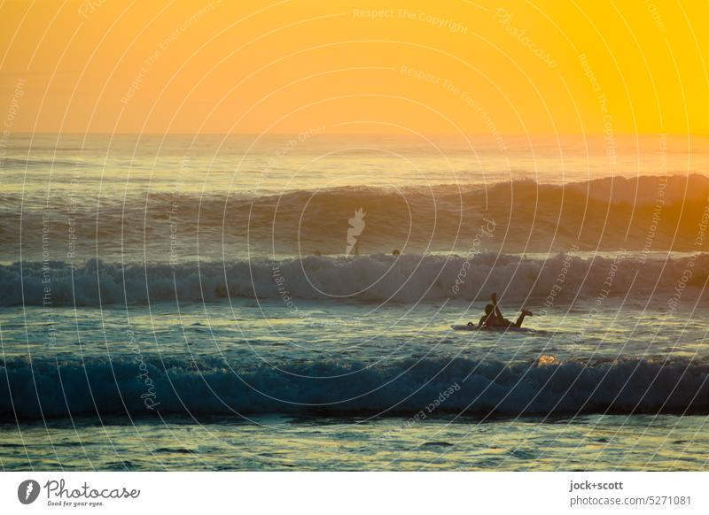 Auf dem Surfbrett kurz nach Sonnenaufgang Surfer Wellen Meer Surfen Sport Wassersport Lifestyle Morgen Sonnenlicht Gegenlicht Silhouette Natur Südpazifik