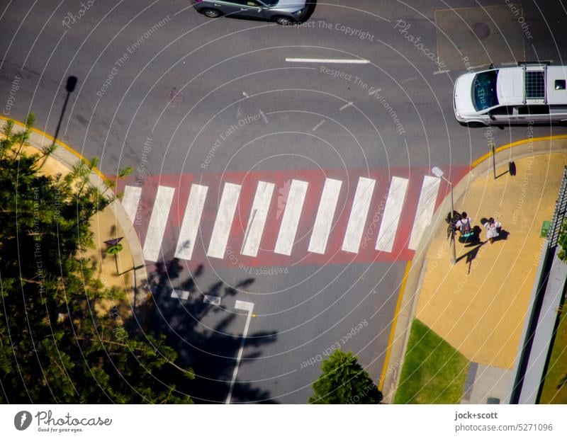 Fußgänger gehen rechts und Autos fahren links am Zebrastreifen Fußgängerübergang Straße Wege & Pfade Verkehrswege Straßenverkehr Sicherheit stehen