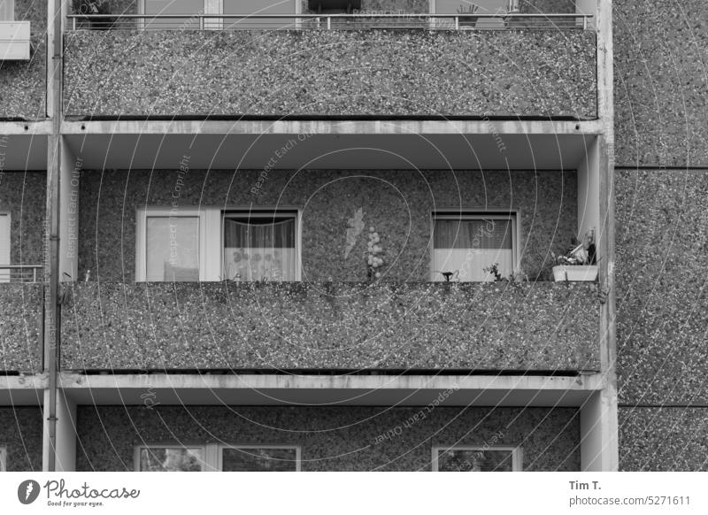 Plattenbau Balkon Berlin s/w Mitte Außenaufnahme Architektur Schwarzweißfoto Menschenleer Hauptstadt Stadtzentrum Tag Bauwerk Gebäude bnw Berlin-Mitte Haus