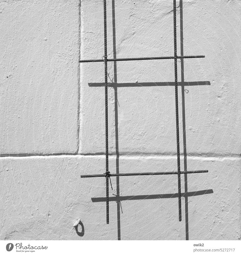 # Wand Detail Schwarzweißfoto Gitter Strebe Gestänge Linien abstrakt Sonnenlicht Kontrast minimalistisch Textfreiraum links Strukturen & Formen Schatten