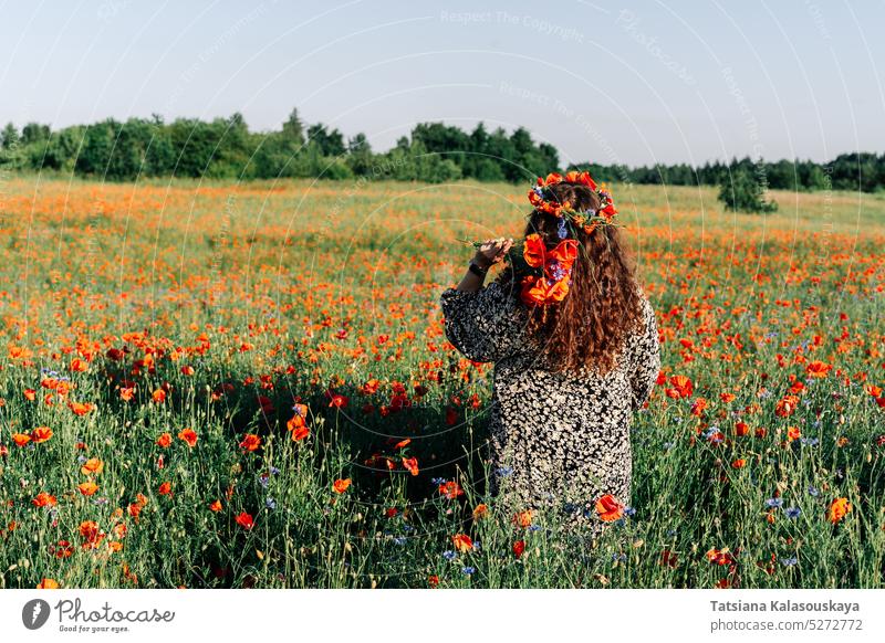 Plus-Size-Frau mit langen lockigen Haaren in einem Kleid steht inmitten einer blühenden Mohnwiese im Frühsommer in einem Kranz aus rotem Mohn und hält einen Strauß Mohnblumen