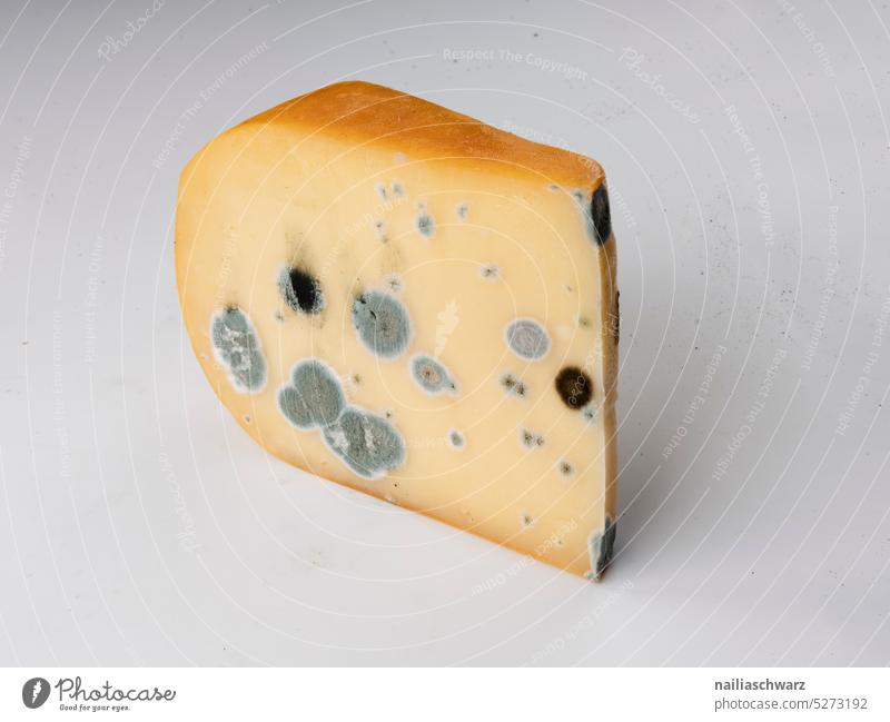 Schimmelpilze auf Käse Farbverlauf Penicillin Farbenspiel genuss phase organisch natürlich Wachstum wachsend Gift riechen Abfall gelb gefährlich abgelaufen