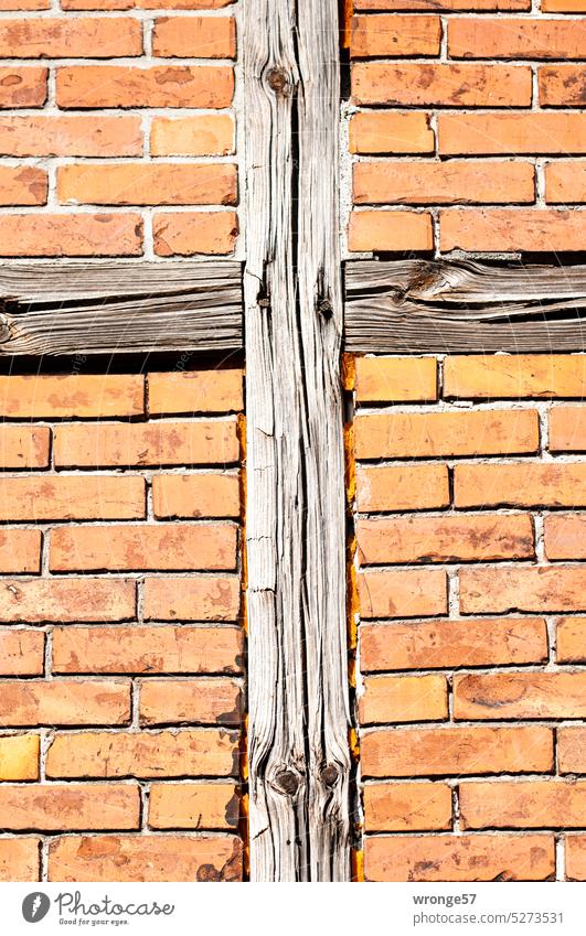 Holzkreuz Fassade Fachwerk Fachwerkhaus Wohnhaus Ständerbauweise historisch Historische Bauten Architektur Altstadt Gebäude Außenaufnahme Farbfoto Stadt