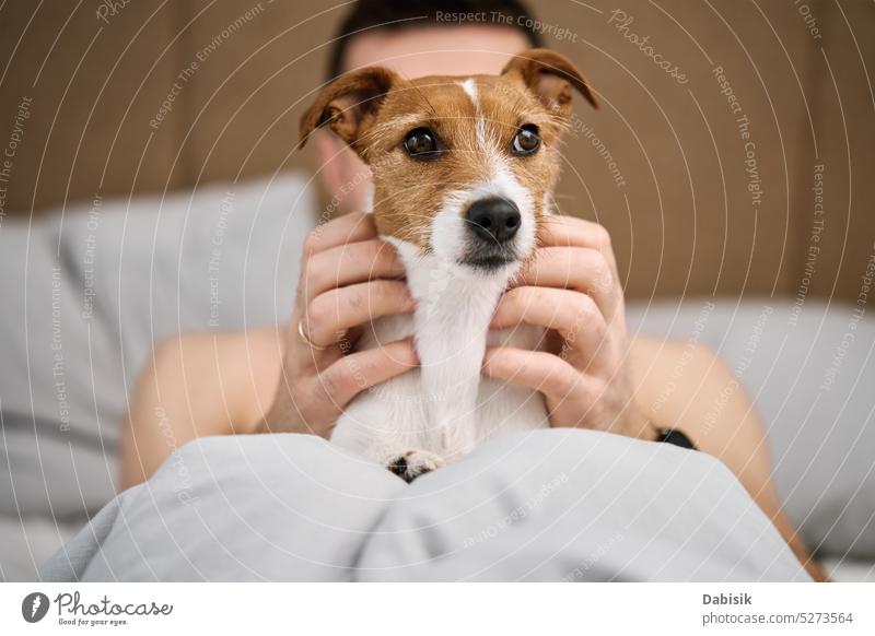 Mann schläft mit Hund auf dem Bett. Haustier Zuneigung Schlafzimmer Zusammensein LAZY Tier Morgen Lügen bezaubernd aussruhen Eckzahn Pflege Kälte bequem