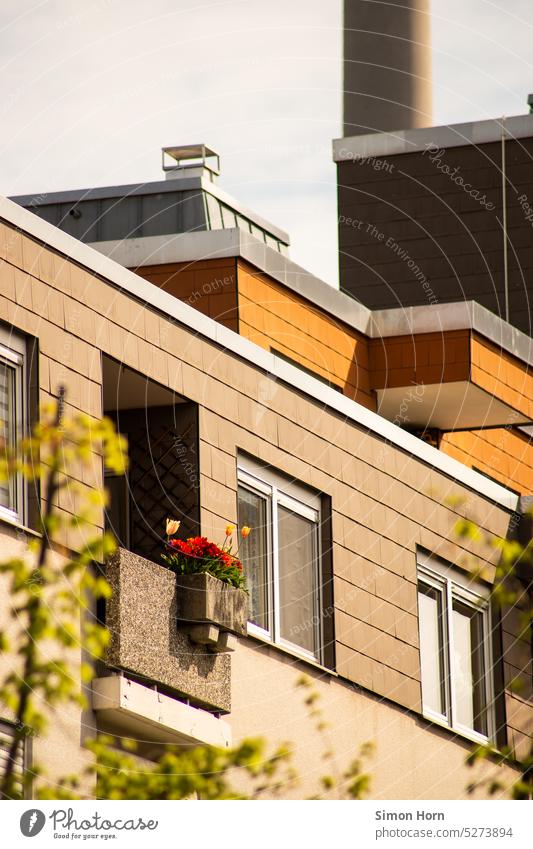 Blumenkasten an einem Balkon in großstädtischer Umgebung Architektur Stadtplanung Großstadt Geometrie Wohnkomplex Sommer in der Stadt Fassade Plattenbau modern