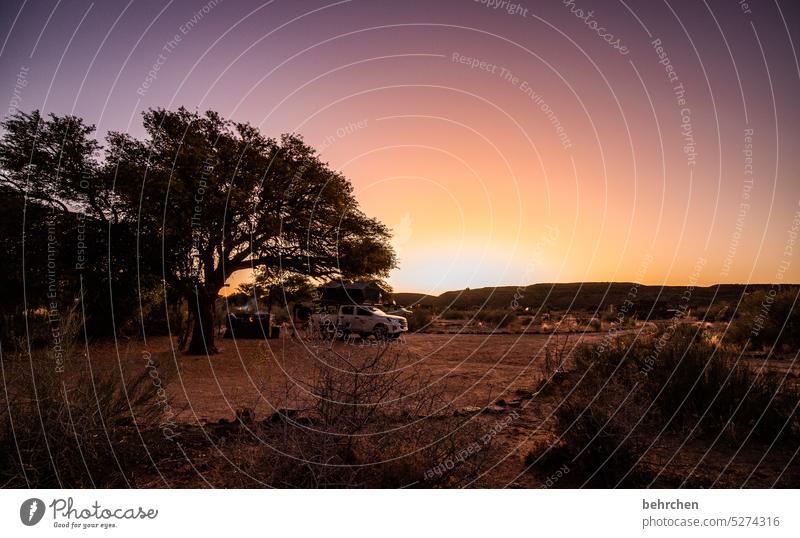 der letzte macht das licht aus traumhaft Himmel Ferne Abend Dämmerung Sonnenuntergang Abenddämmerung Baum Namibia reisen Fernweh besonders Natur Landschaft