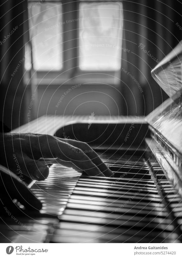Teilaufnahme Hände eines Klavierspielers, Blick von der Seite, im Hintergrund unscharf ein Fenster, vertikal, schwarz-weiß klavierspieler Klavier spielen