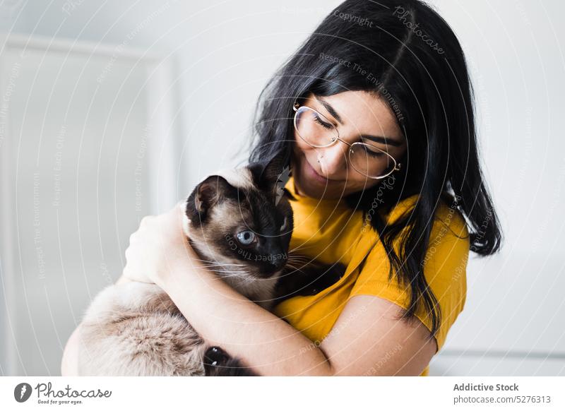 Zufriedene Frau, die eine süße Katze umarmt siamesisch Windstille heimwärts Umarmung Besitzer heimisch Haustier bezaubernd Freund Umarmen Brille niedlich