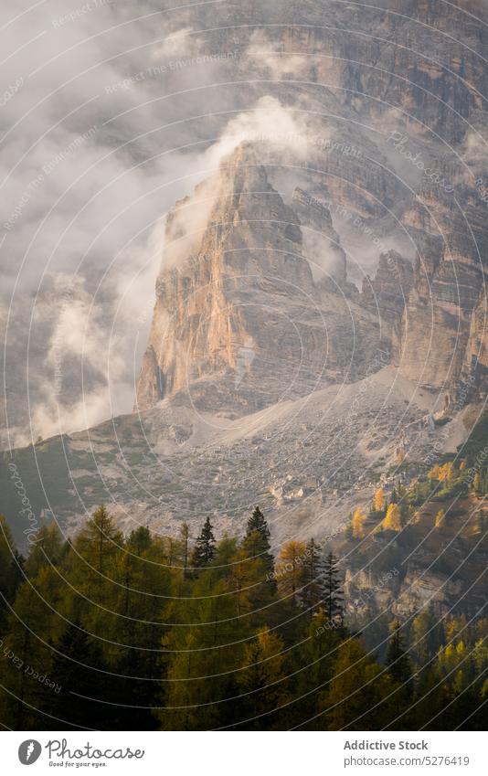 Bergkamm mit Nadelbäumen Berge u. Gebirge Baum Landschaft Wald Tal Ambitus nadelhaltig Natur Kamm Hochland Himmel Dolomit Italien Umwelt malerisch Nebel wolkig