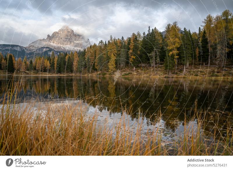 Ruhiger See umgeben von Wald Berge u. Gebirge Landschaft Ambitus Hochland nadelhaltig Natur Kamm wolkig Dolomit Italien Baum malerisch Umwelt Wasser Berghang