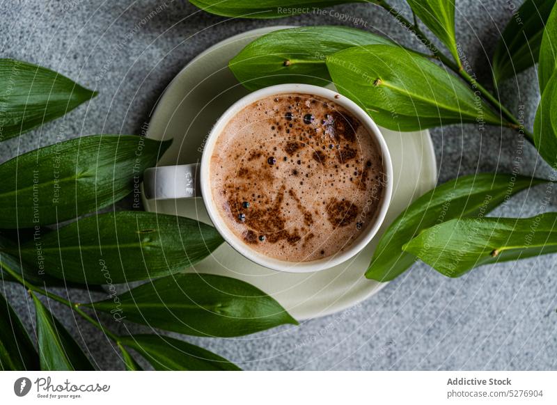 Tasse Cappuccino und grüne Blätter oben americano Hintergrund Getränk Keramik Kaffee Kaffeepause Beton trinken Espresso schäumen Guten Morgen grau heiß melken
