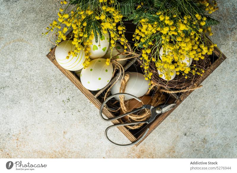 Osterkarte mit leuchtend gelben Mimosenblüten Ostern Ei Blume Aroma aromatisch Hintergrund Blaukehlchen Postkarte farbig Beton flache Verlegung Flora