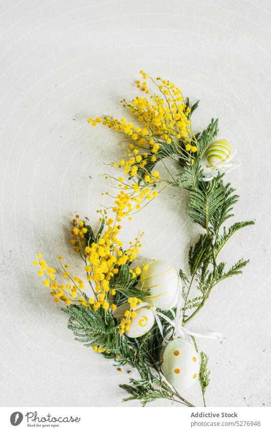 Osterkartenkonzept mit gelben Mimosenblüten Ostern Ei Blume Aroma aromatisch Hintergrund Blaukehlchen Postkarte farbig Beton flache Verlegung Flora