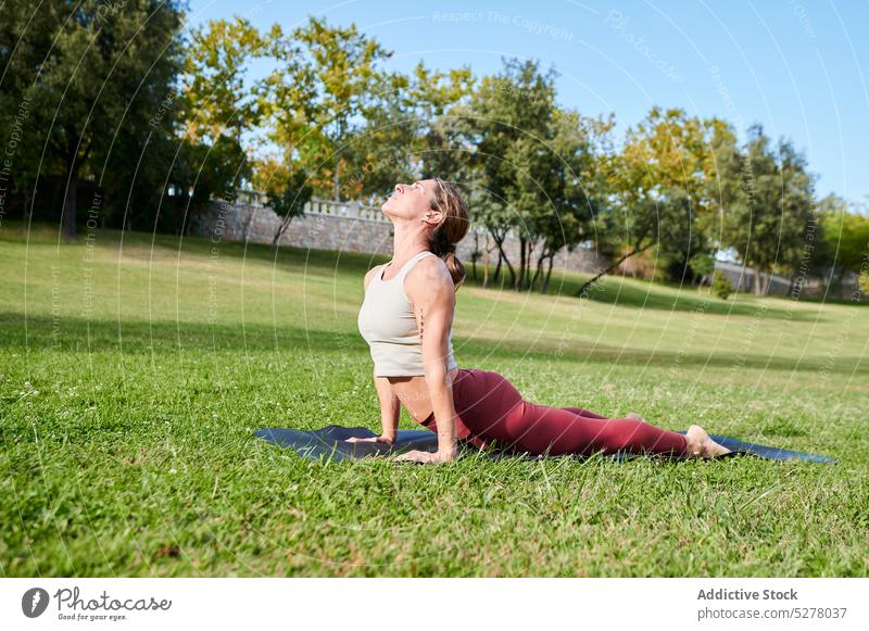 Flexible Frau übt Yoga in Kobra-Pose im Park Asana bhujangasana beweglich Sprit Dehnung Vitalität Gras Rasen Gesundheitswesen Training Harmonie Sommer sportlich