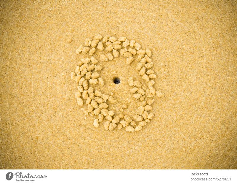 Sandkrabbe hinterlässt Sandkügelchen am Strand Natur abstrakt Strukturen & Formen Hintergrund neutral Golfloch tropisch Hintergrundbild minimalistisch