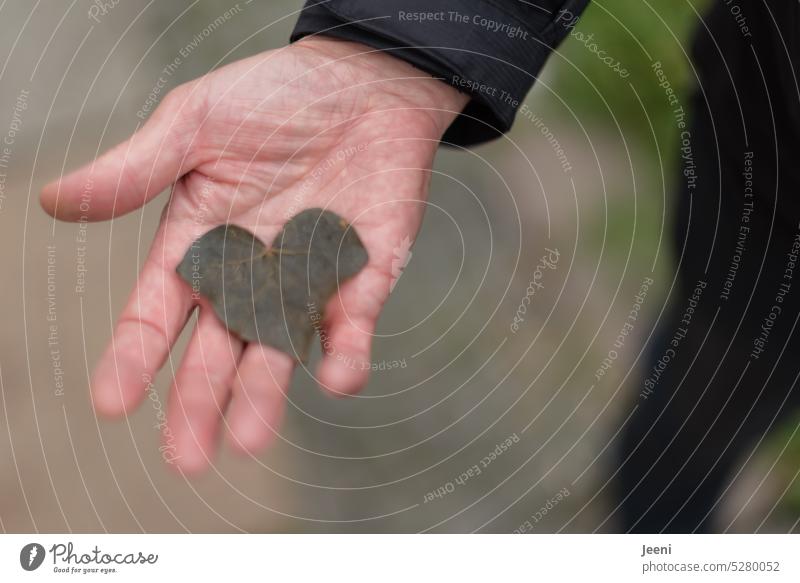 Lieber das Herz in der Hand, als das Laub auf der Straße Blatt verwelkt herzförmig Herz (Symbol) Symbole & Metaphern Gefühle Zeichen Valentinstag Geschenk