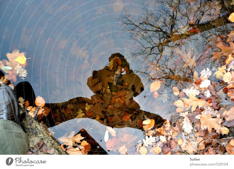 Herbstspiegel Freizeit & Hobby Fotografieren Spiegel Fotokamera maskulin Mann Erwachsene 1 Mensch 60 und älter Senior Wasser Schönes Wetter Pflanze Baum Blatt